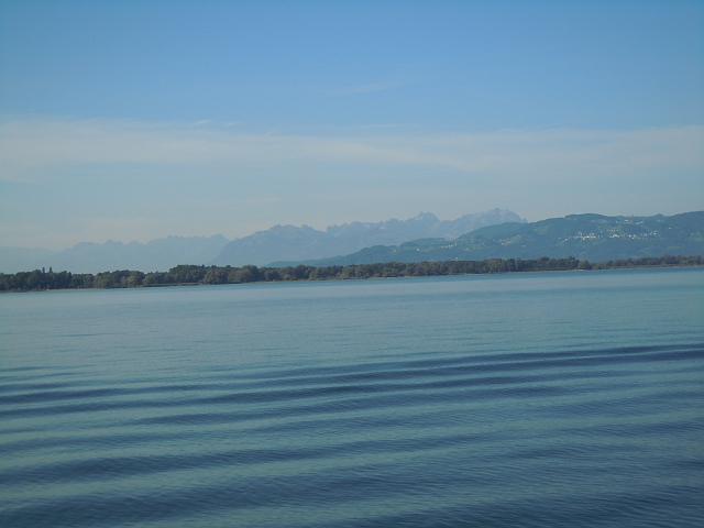 bild (11)